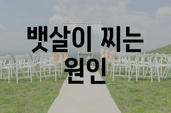 뱃살이 찌는 원인
