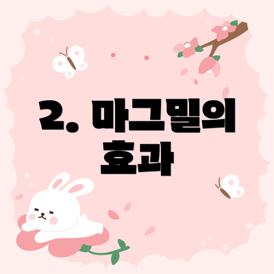 2. 마그밀의 효과
