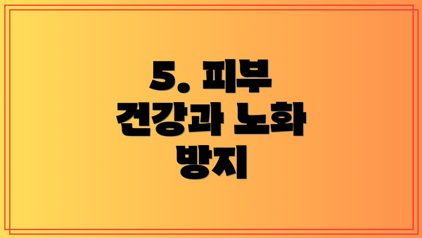 5. 피부 건강과 노화 방지