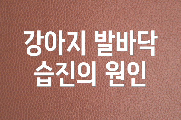 강아지 발바닥 습진의 원인