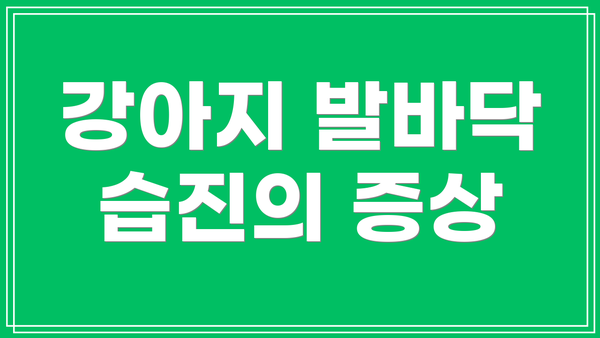 강아지 발바닥 습진의 증상