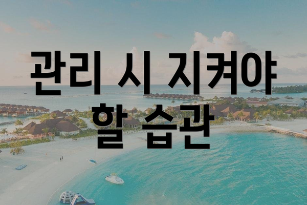 관리 시 지켜야 할 습관