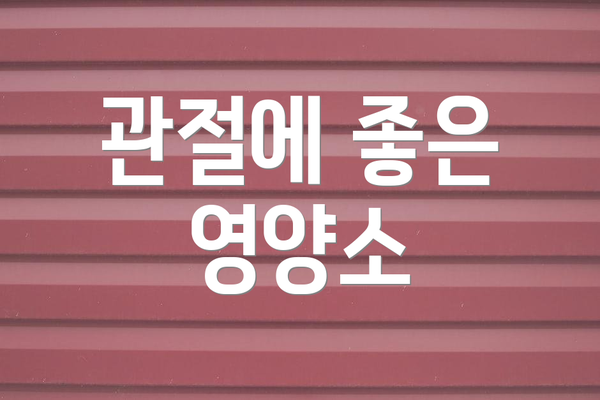 관절에 좋은 영양소