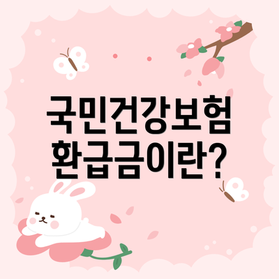 국민건강보험 환급금이란?
