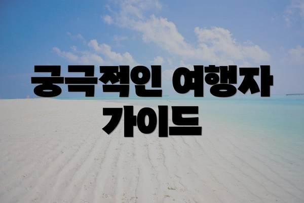 궁극적인 여행자 가이드