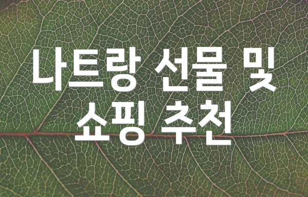 나트랑 선물 및 쇼핑 추천