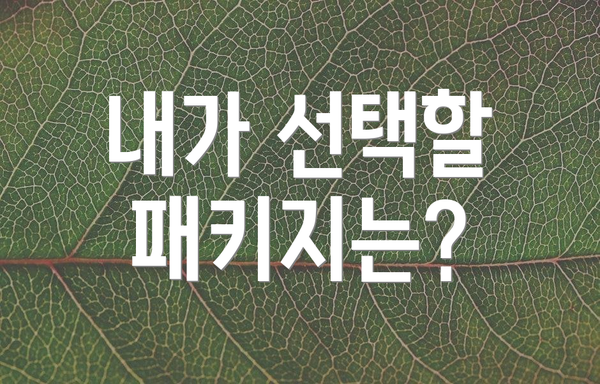 내가 선택할 패키지는?