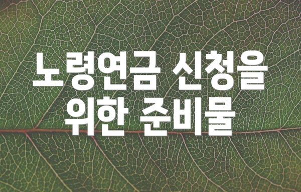 노령연금 신청을 위한 준비물