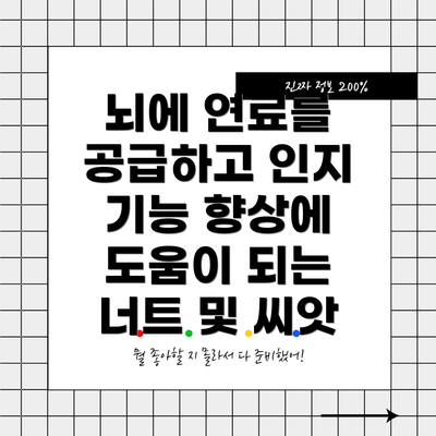 뇌에 연료를 공급하고 인지 기능 향상에 도움이 되는 너트 및 씨앗