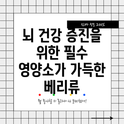 뇌 건강 증진을 위한 필수 영양소가 가득한 베리류