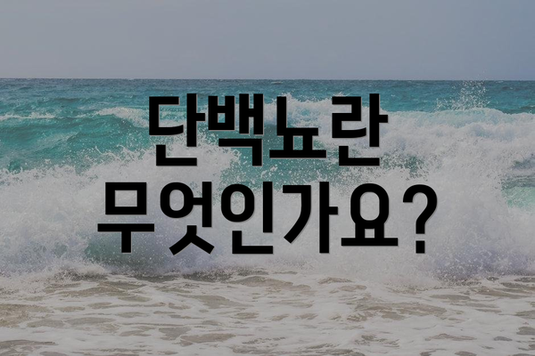 단백뇨란 무엇인가요?