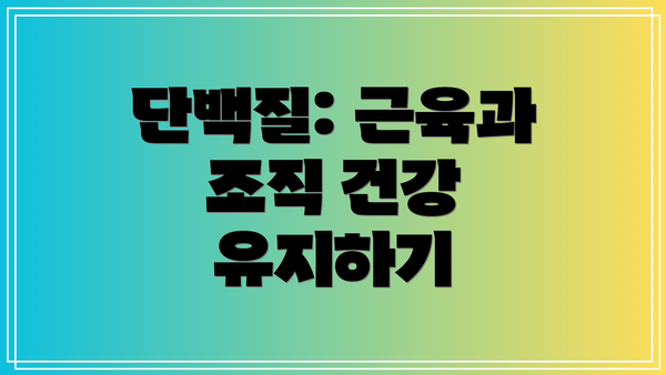 단백질: 근육과 조직 건강 유지하기