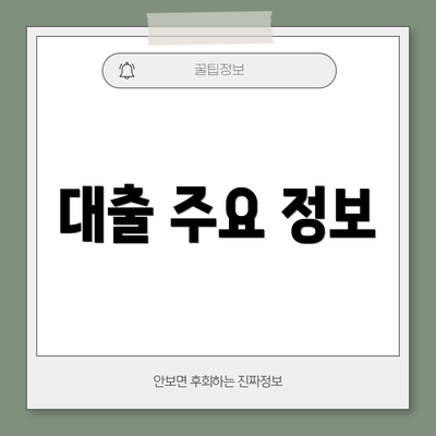 대출 주요 정보
