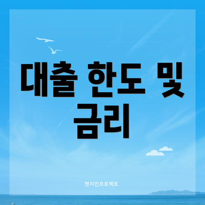 대출 한도 및 금리