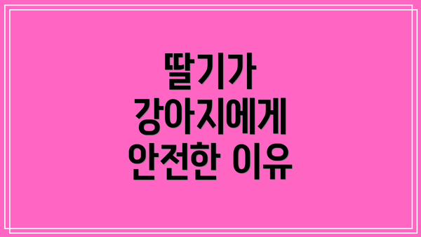 딸기가 강아지에게 안전한 이유