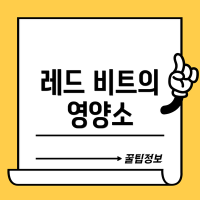 레드 비트의 영양소