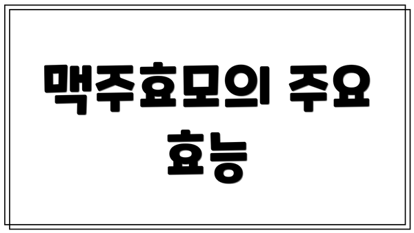 맥주효모의 주요 효능