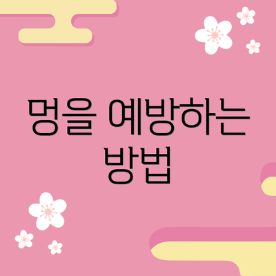 멍을 예방하는 방법