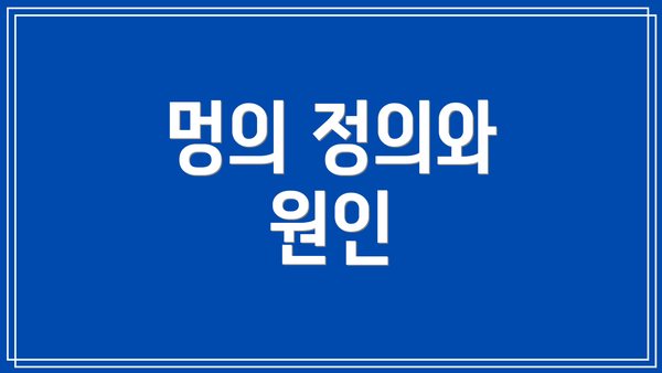 멍의 정의와 원인