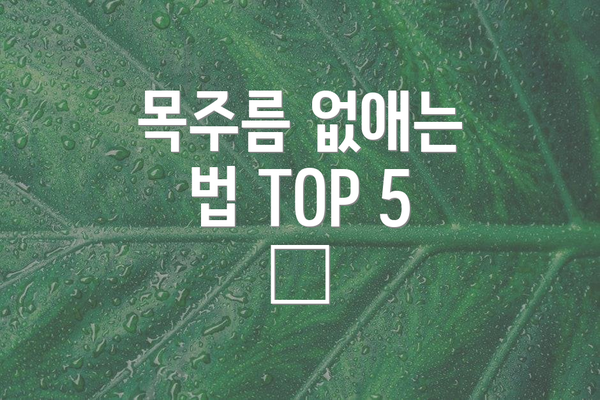 목주름 없애는 법 TOP 5 ✨