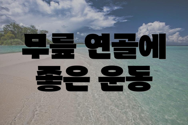 무릎 연골에 좋은 운동