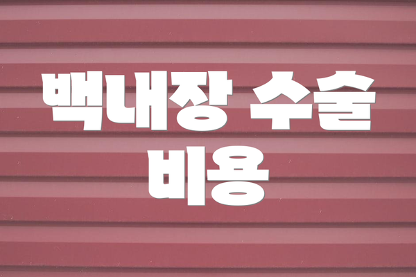 백내장 수술 비용