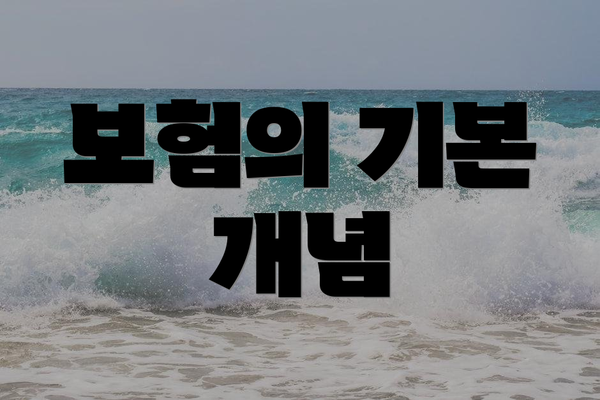 보험의 기본 개념