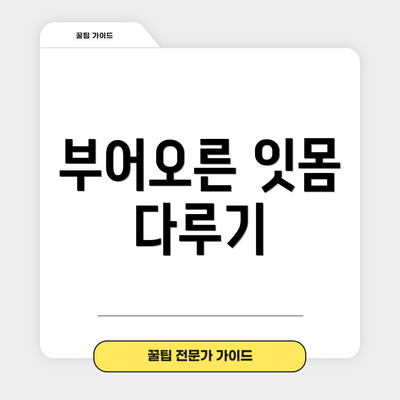 부어오른 잇몸 다루기