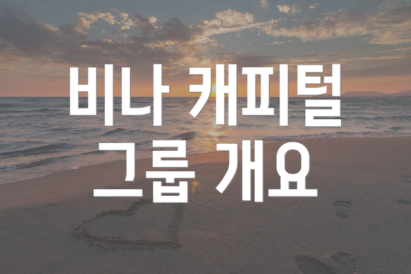 비나 캐피털 그룹 개요