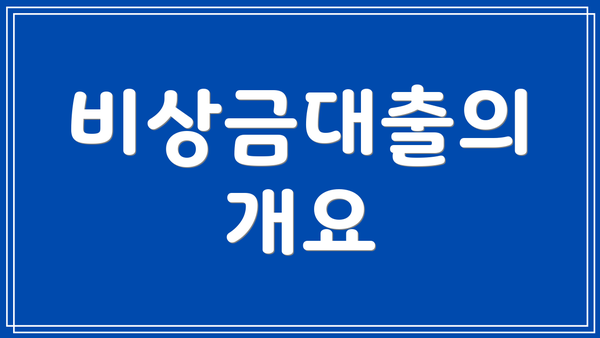 비상금대출의 개요