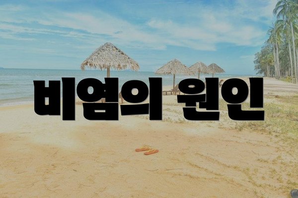비염의 원인