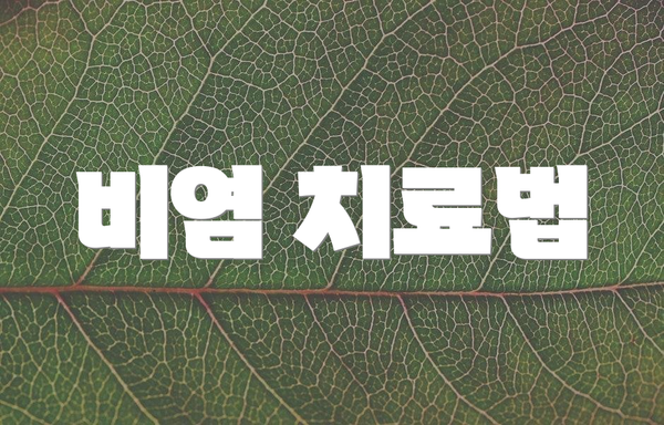 비염 치료법