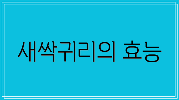 새싹귀리의 효능