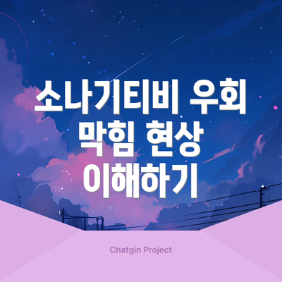 소나기티비 우회 막힘 현상 이해하기