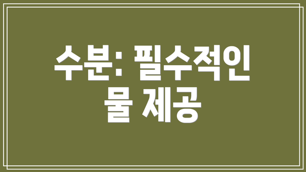 수분: 필수적인 물 제공