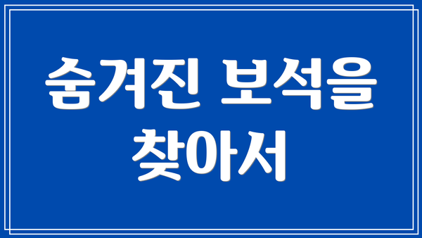 숨겨진 보석을 찾아서