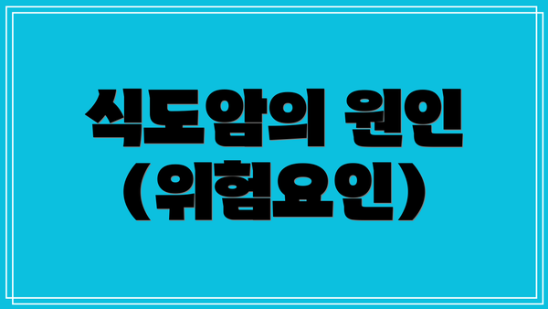 식도암의 원인 (위험요인)