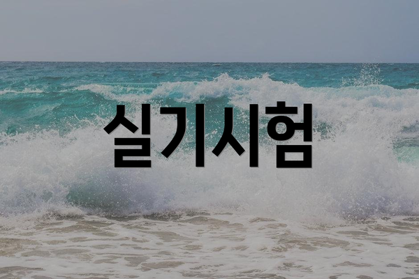 실기시험
