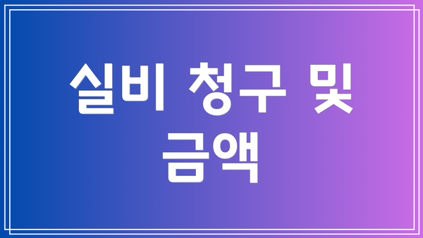 실비 청구 및 금액