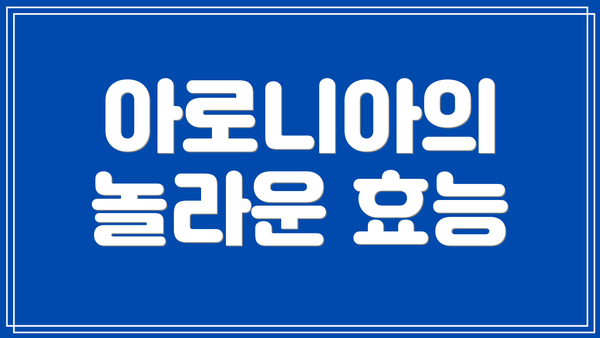 아로니아의 놀라운 효능