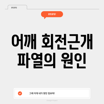 어깨 회전근개 파열의 원인