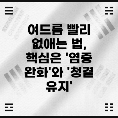 여드름 빨리 없애는 법, 핵심은 '염증 완화'와 '청결 유지'