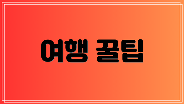 여행 꿀팁