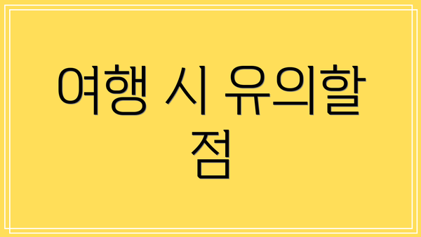 여행 시 유의할 점