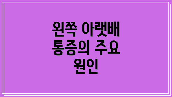 왼쪽 아랫배 통증의 주요 원인