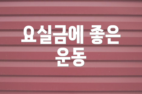 요실금에 좋은 운동