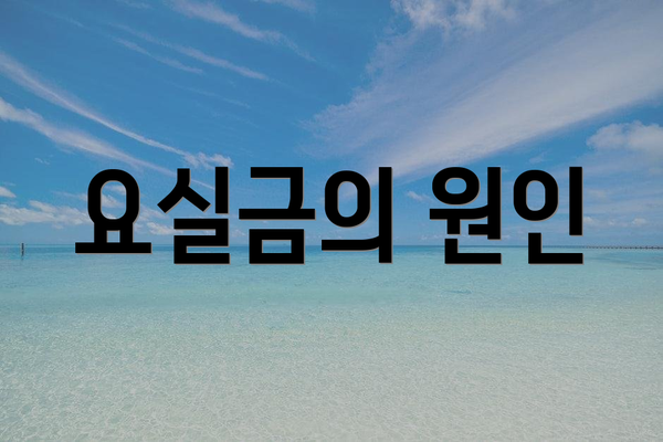요실금의 원인