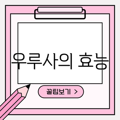 우루사의 효능