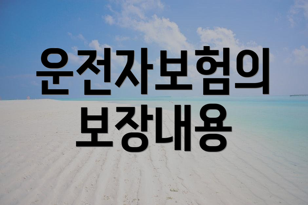 운전자보험의 보장내용