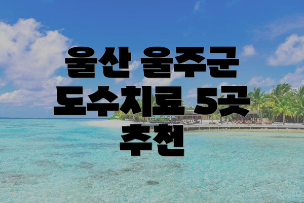 울산 울주군 도수치료 5곳 추천